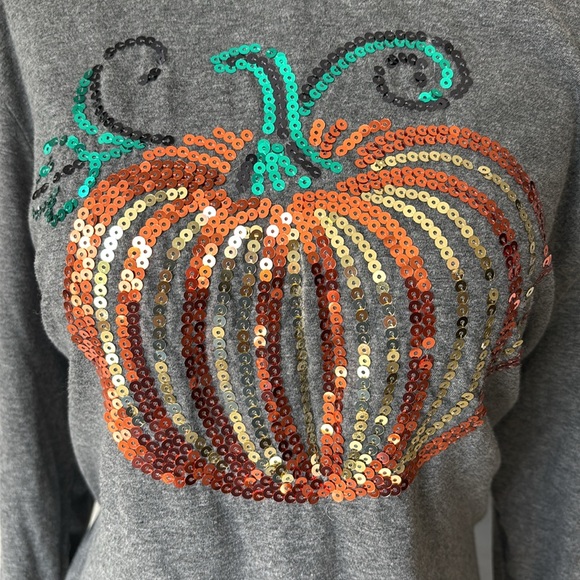 Pumpkin sequence long sleeve t like new - Picture 1 of 4